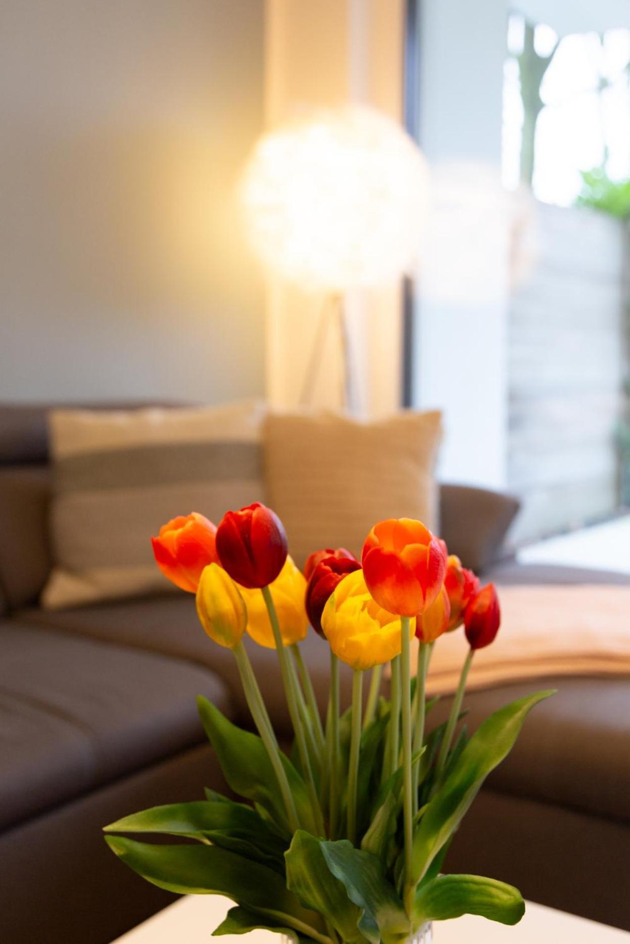 Micasa Ol Apartment Олденбург Екстериор снимка
